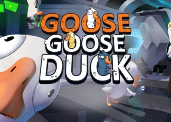 Code Goose Goose Duck
